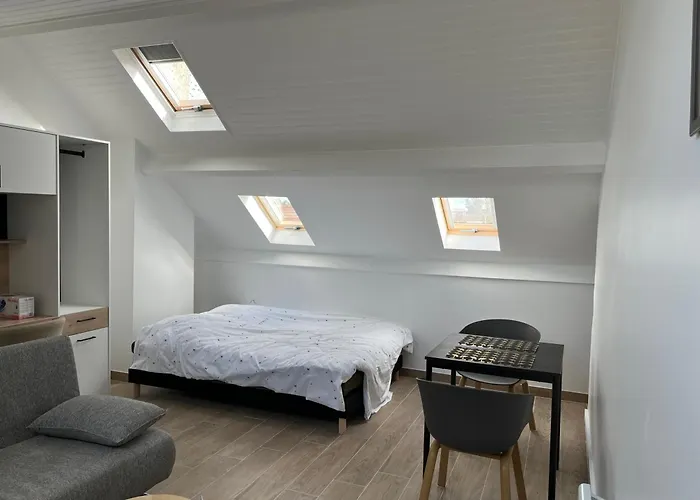 Appartements Proches Cdg Le Bourget Dans Maison Francilienne Typique