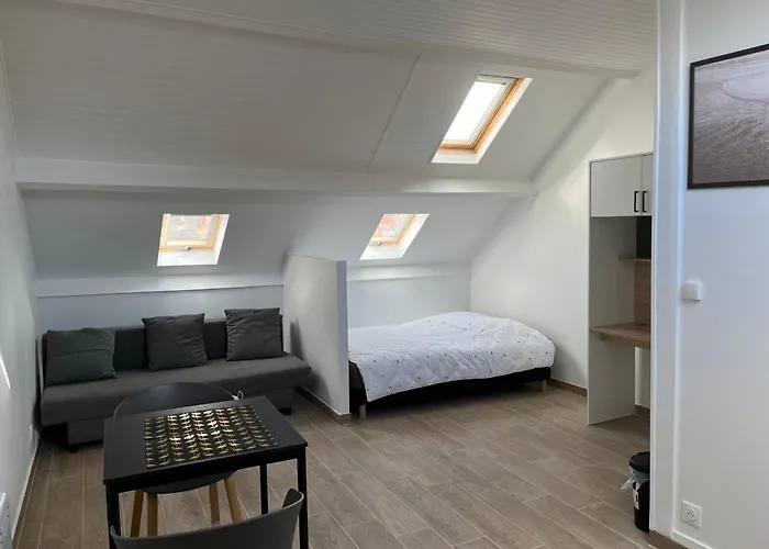 Appartements Proches Cdg Le Bourget Dans Maison Francilienne Typique